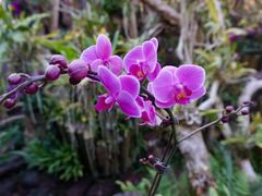 -南通洲际绿博园