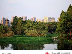 -洋湖国家湿地公园