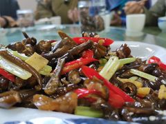 -壹盏灯(惠农店)