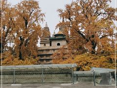 -北京石刻艺术博物馆(五塔寺)