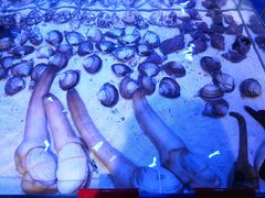 -十六蒲(桂林路店)