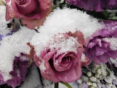 -泡泡玛特POPMART(蓝色港湾店)