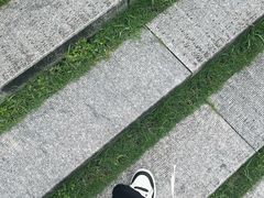 -火炉山森林公园