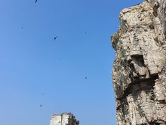 -龙爪山国家地质公园