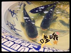-南京金牛湖巨碗鱼头