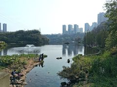 -重庆彩云湖湿地公园