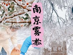 -紫金山山顶公园