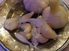 糖蒜-月圆火锅(宁海东路二店)