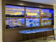 -南海渔村(珠江新城店)
