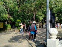 -蝴蝶泉公园