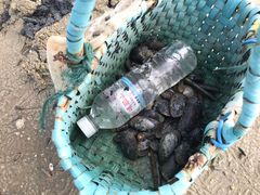 -北海金海湾红树林生态旅游区