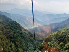 -王顺山国家森林公园