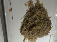 -玉楼东(曙光店)