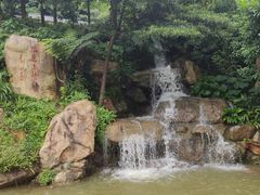 -广州市帽峰山景区