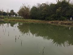 -艾溪湖湿地公园