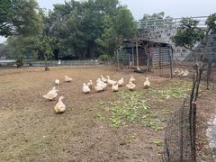 -Club Med地中海俱乐部·桂林度假村