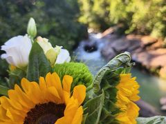 -广州白江湖森林公园