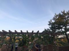 -云端咖啡(古北水镇景区店)