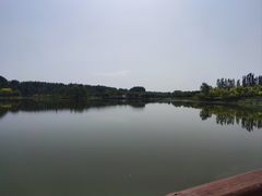 -东郊湿地公园