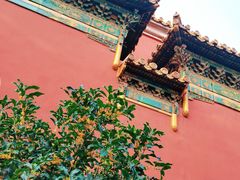 -北京市劳动人民文化宫(太庙)