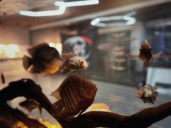 -弓舍射箭俱乐部(高新总店)