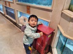 -顺峰(农展馆店)