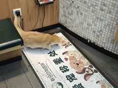 -联合动物医院(光谷诊疗中心)