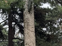 -北陵公园