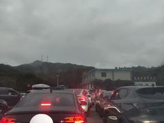 -广东惠东海龟国家级自然保护区