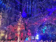 -广州长隆国际大马戏