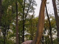 -原山国家森林公园