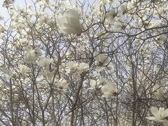 -睦南公园