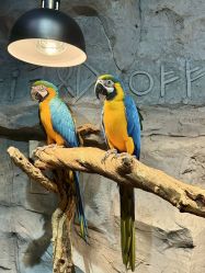 -Zoolung Zoolung动物主题公园(海信广场店)