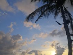 -Sunset Bar(丹绒亚路香格里拉店)