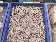 -琼菜王(南海店)