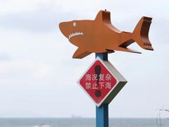 -杨梅坑