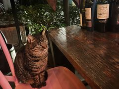 -SISTERS BAR RESTAURANT川意酒馆(嘉善老市H楼店)