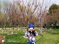 -长辛店二七公园