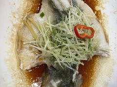 香葱淋海鲈鱼-广州酒家(昌岗地铁站店)