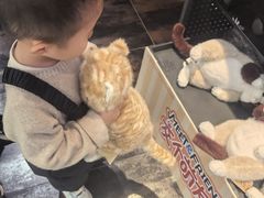 -酷乐潮玩(五道口购物中心店)