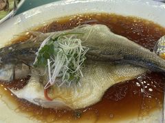 -北京首都机场希尔顿酒店