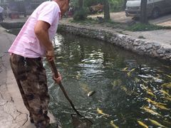 -可心烤鱼