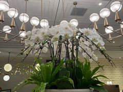 -鹿港小镇(霄云店)
