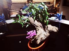 -翁暖茶馆(滨江东总店)