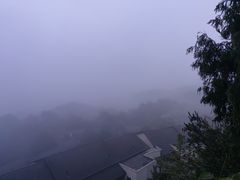 -千岛湖天屿景区
