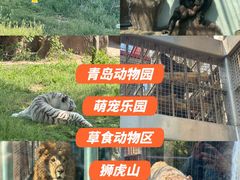 -青岛动物园
