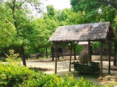 -合肥野生动物园