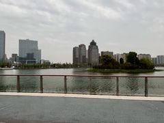 -金沙湖公园