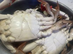 -半岛听涛蒸汽海鲜自助(K11店)