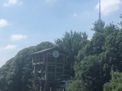 -成都市活水公园